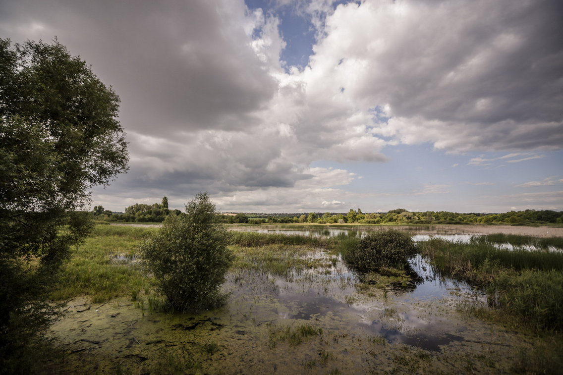 merzse-mocsar hartyanyi-norbert 20160628