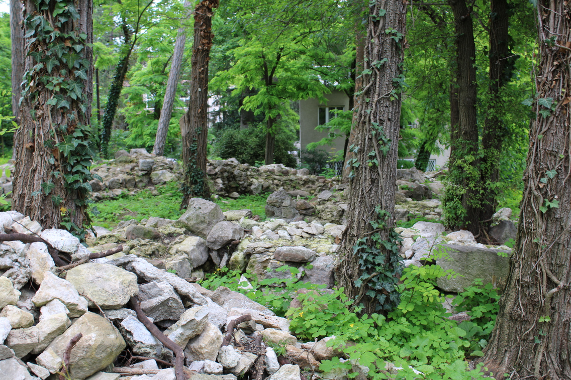 ma-tya-s-nye-ki-romok-wlb-03