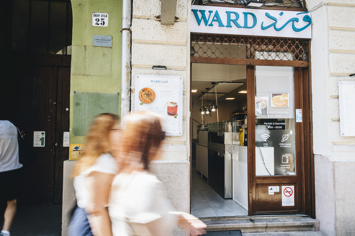 ward majorkata 250827-3