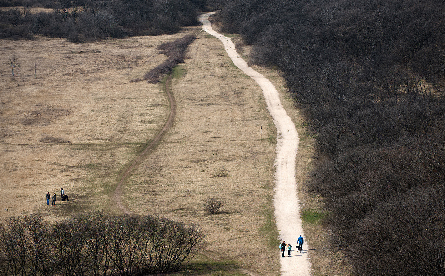budafoki-viztorony bodis-krisztian 20150322