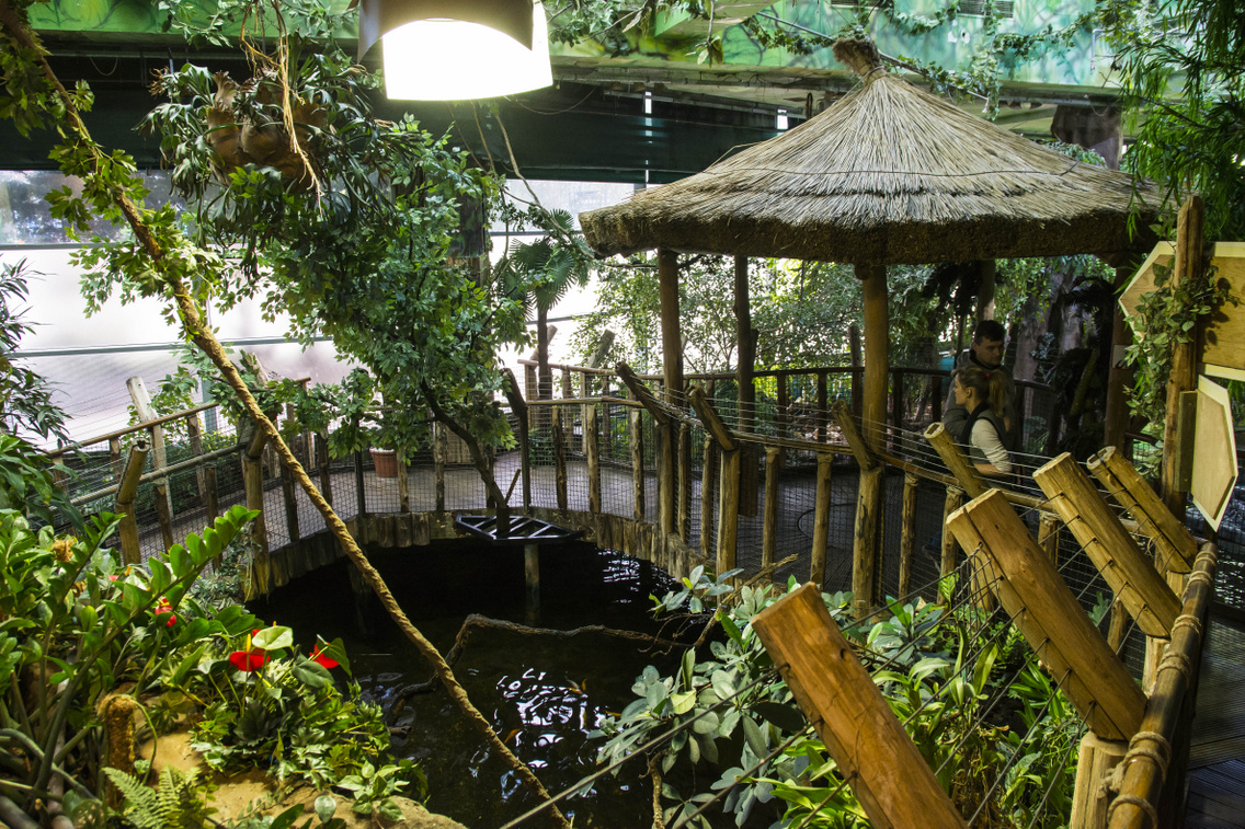 tropicarium korosi-tamas 20160204