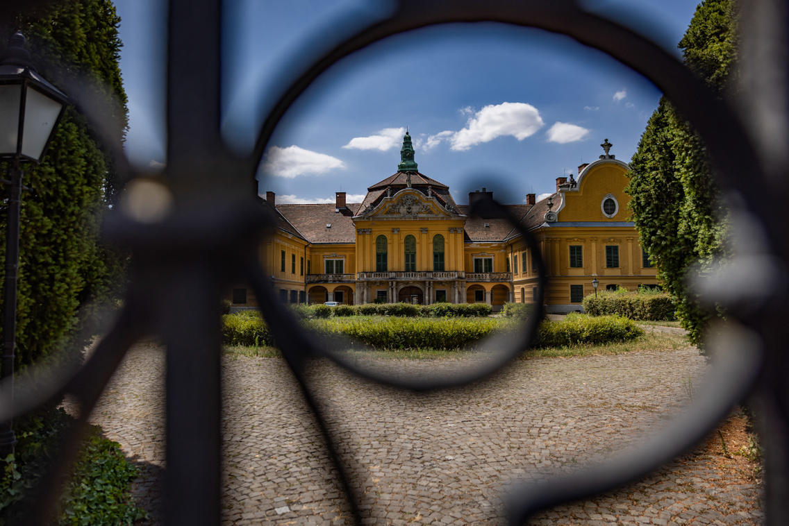 Nagytétény tanösvény 250724 Szabó Gábor 048
