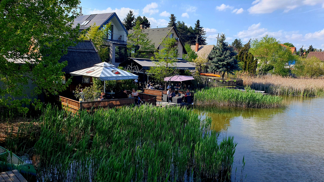 szigetszentmiklósi úszóláp (18)