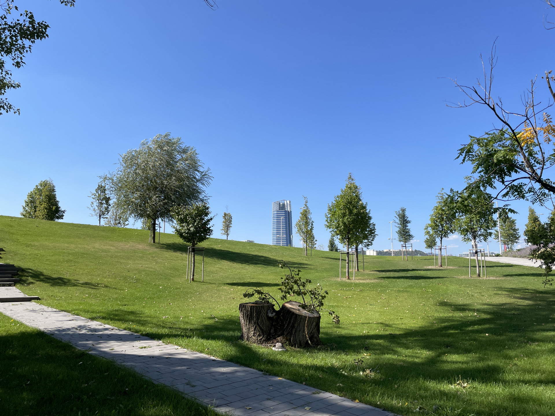 Arra még várni kell, hogy a fák elég árnyékot adjanak, de a fűre így is kiülhetünk