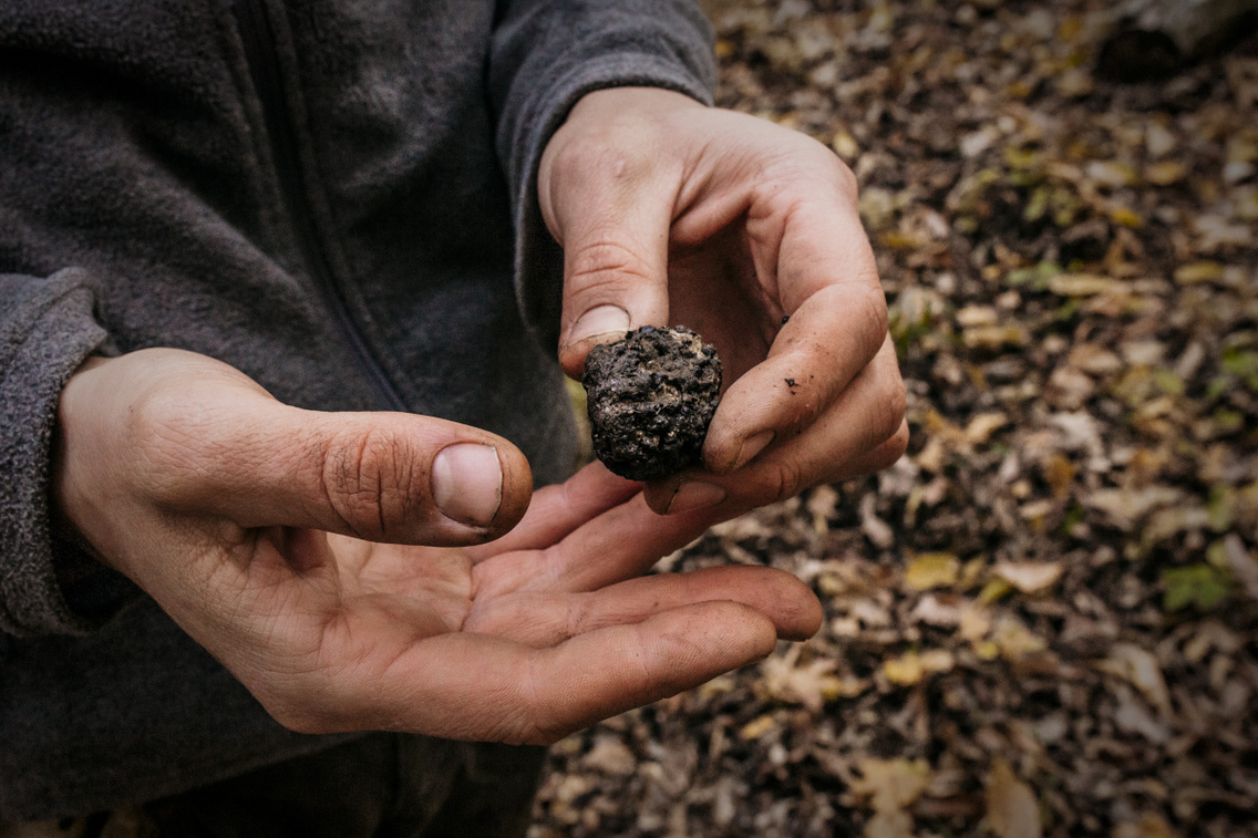 erdokerulo-pecsely-20211101-heima-014