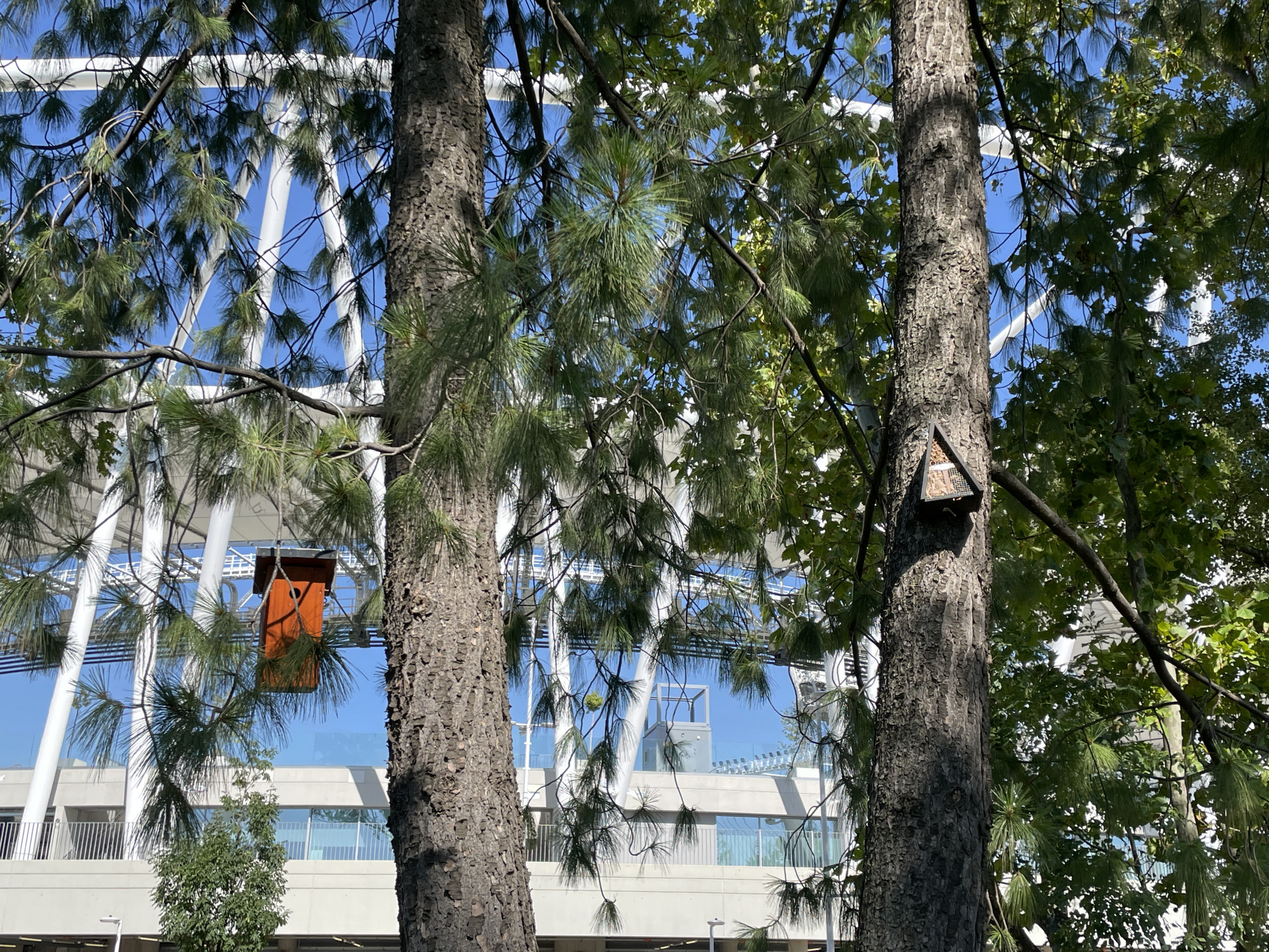 Több odú és rovarhotel is van a területen