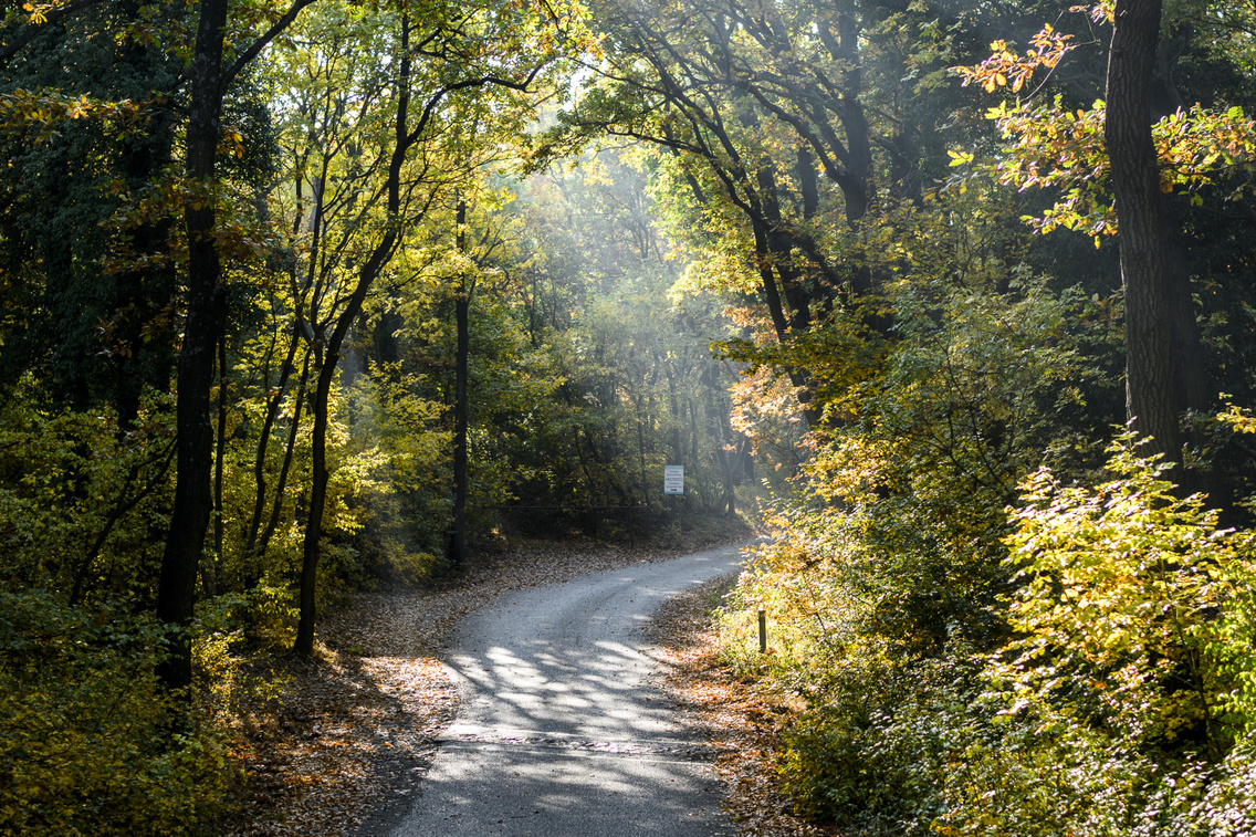 hegyestu-tura korosi-tamas 20171019