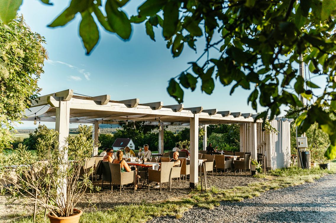 tagyon-birtok-korosi-tamas-109