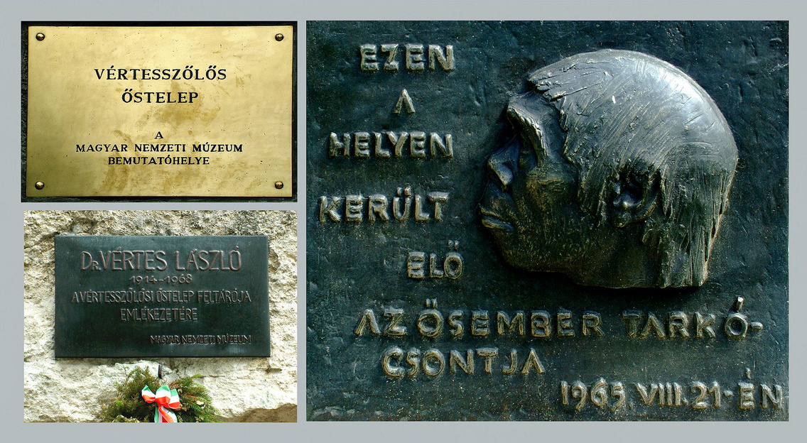 Ősembertelep Vértesszőlős 01