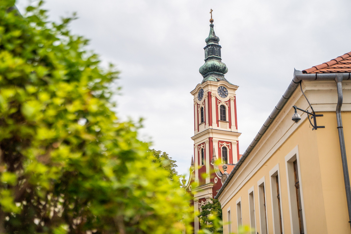 szentendre 2024.07.21 bodorkosmate-09169