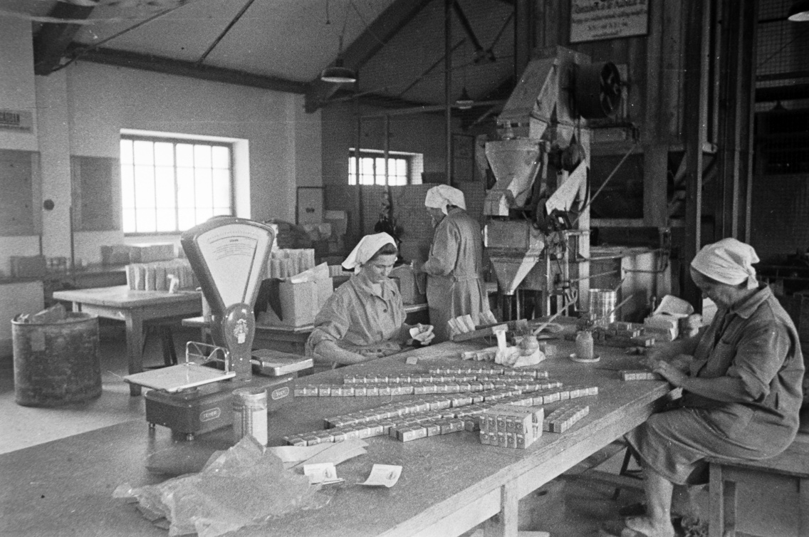 Keresztúri út 30–38. Wander Gyógyszer- és Tápszergyár, ma Egis Gyógyszergyár (1949)