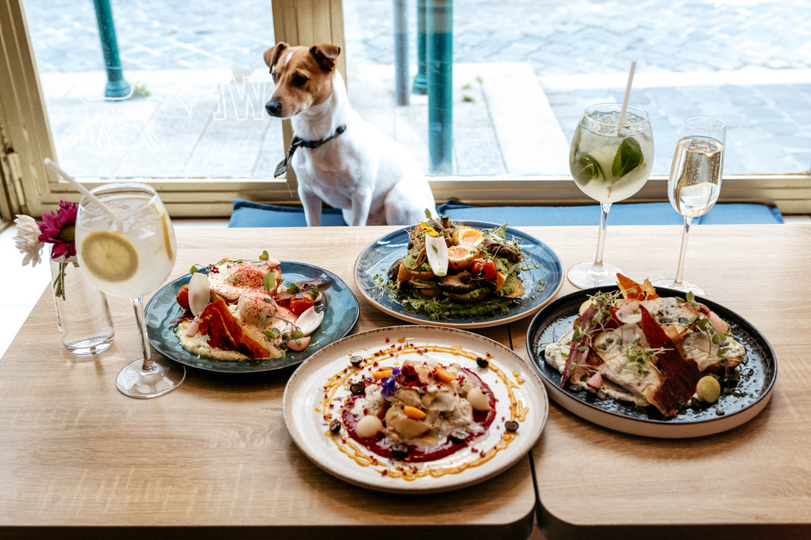 deszka-forga-cszsuzsi-20230123-22