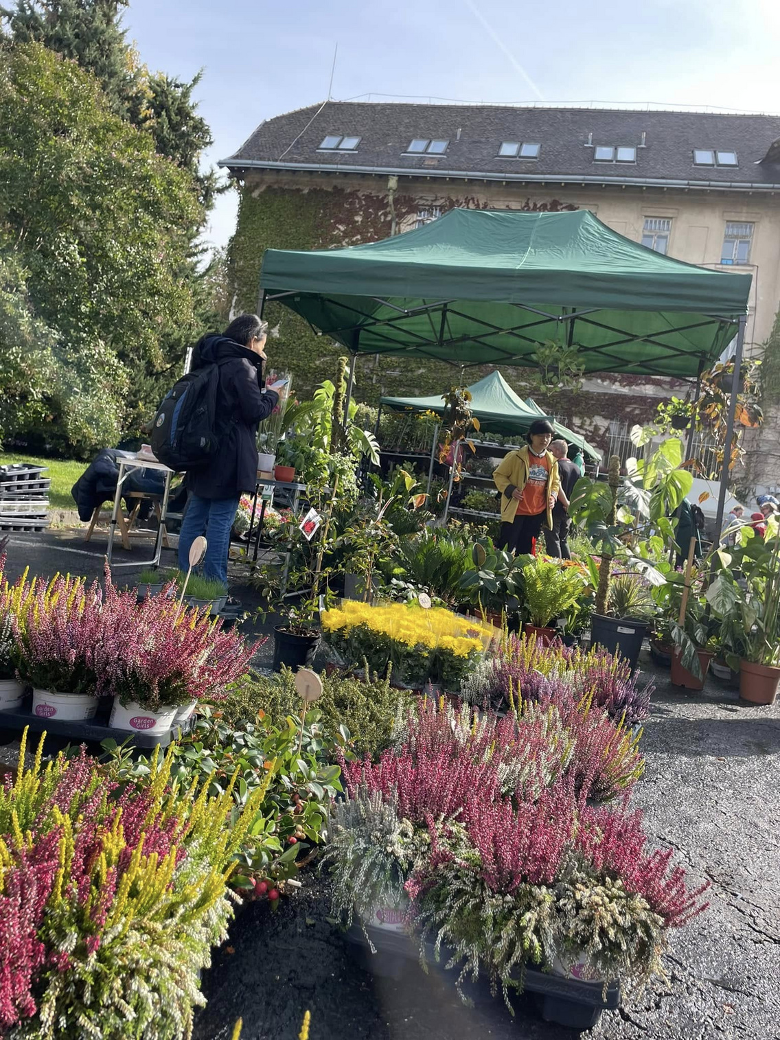 őszkert killítás és vásár