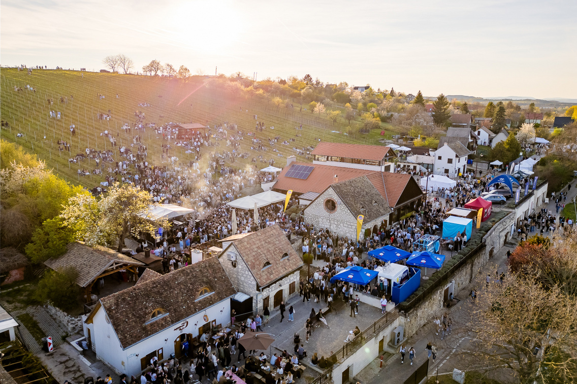 naplemente Rókusfalvy Birtok
