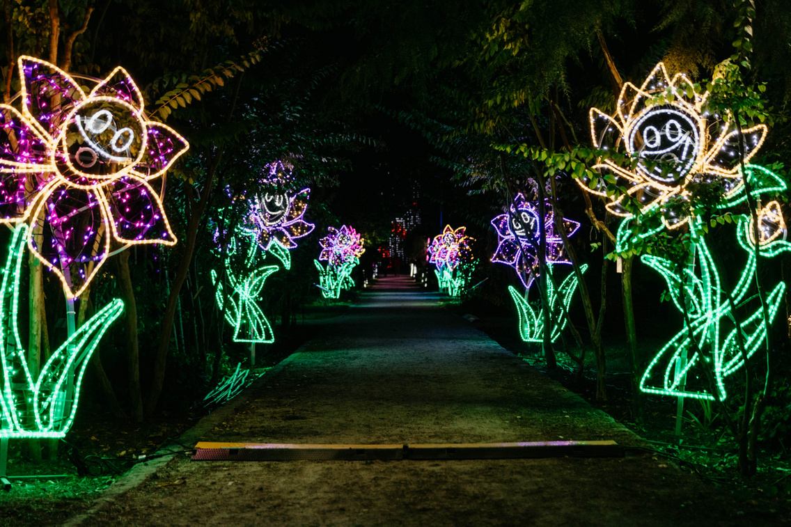 gardenoflights-fuveszkert-forgacszsuzsi-20231017-40