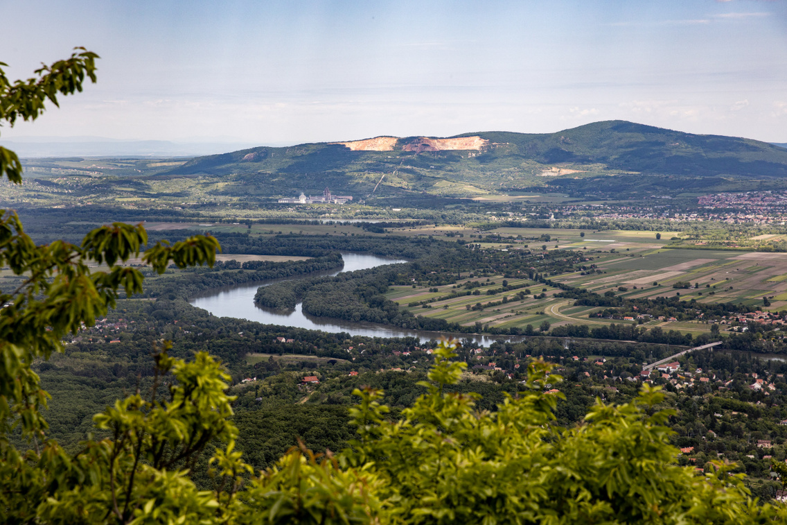 tahito-tfalu-20210602-hirling-ba-lint-025