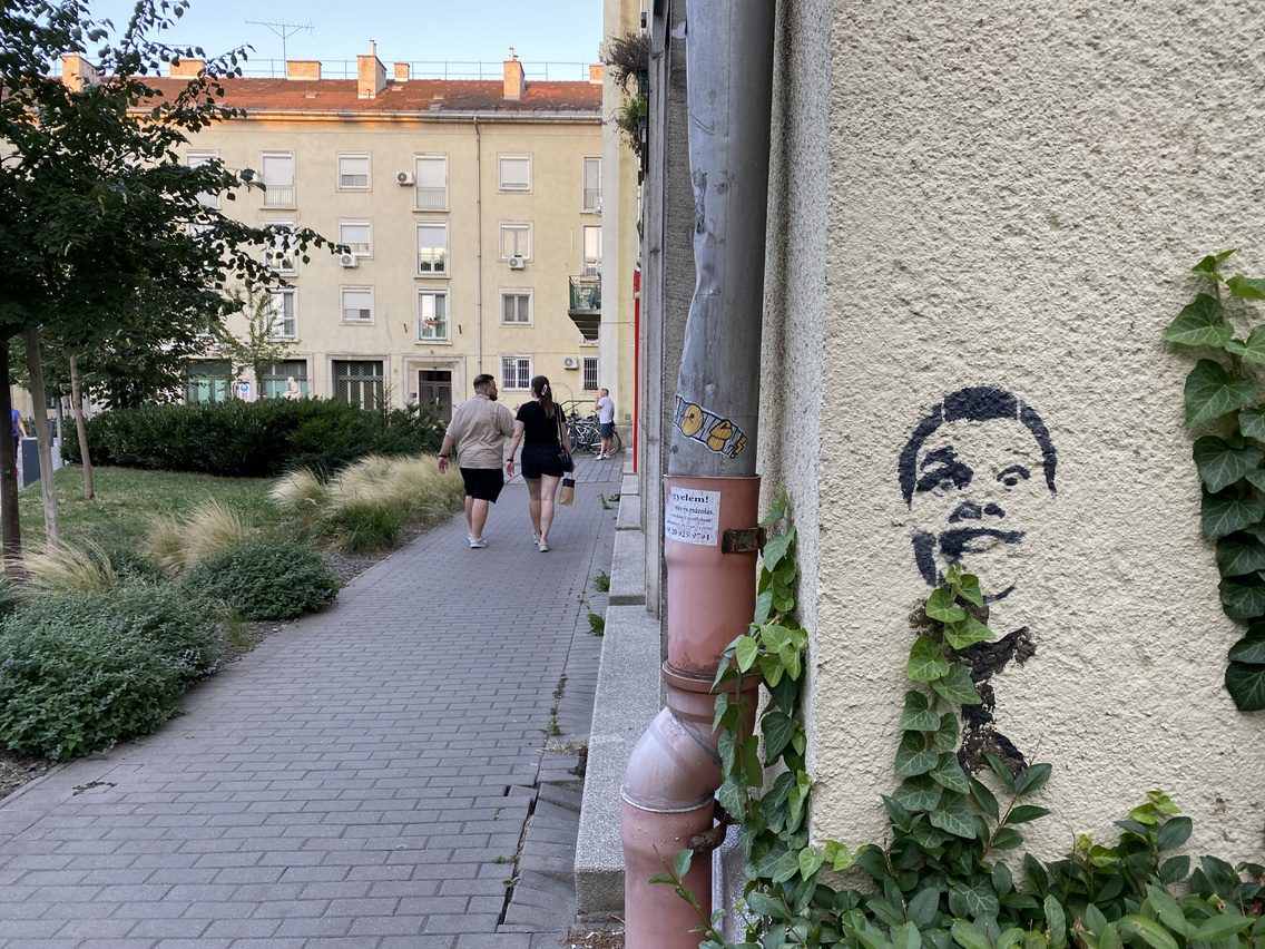 IMG 2378