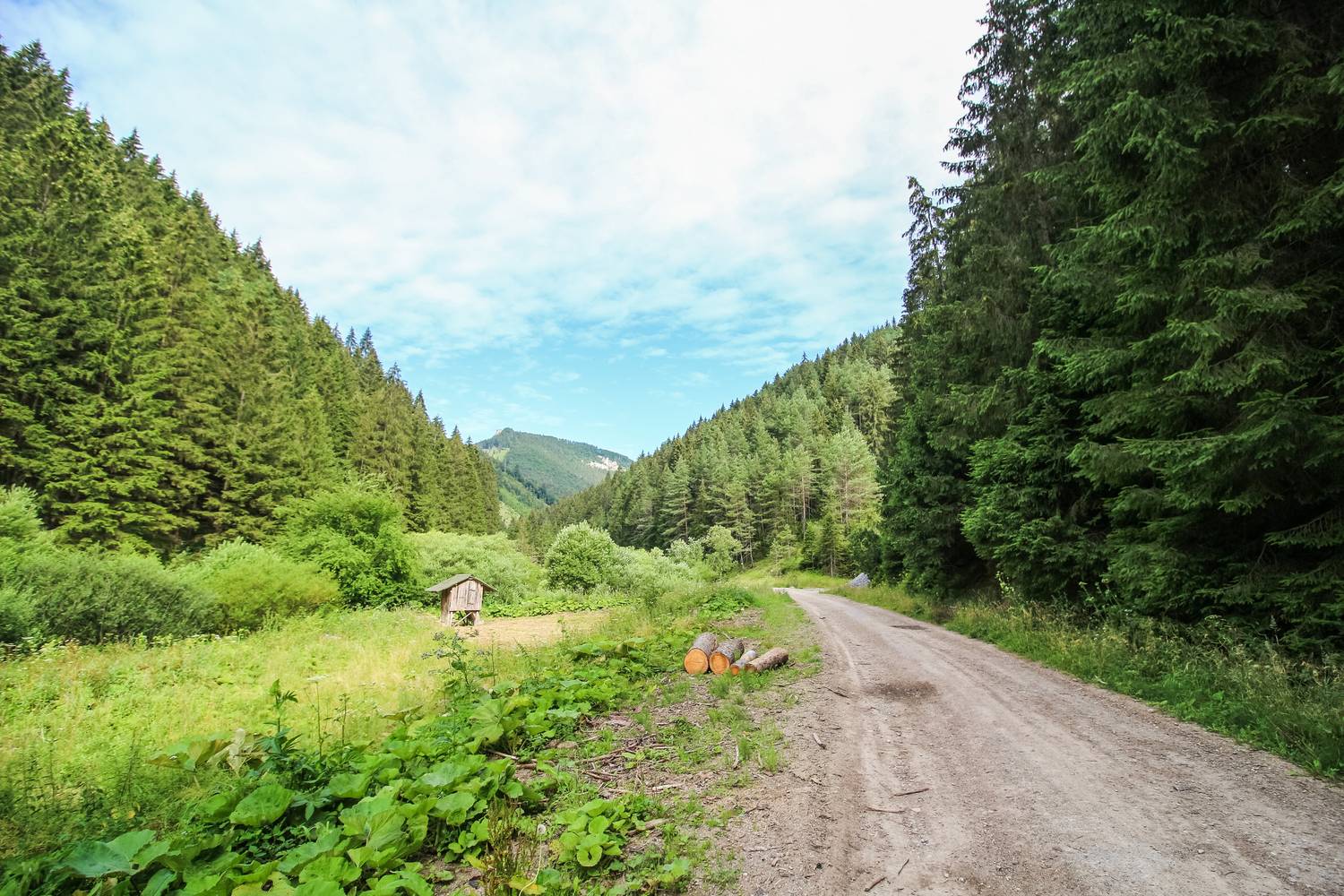 A környéken rengeteg túraútvonal vár.