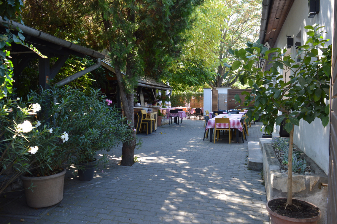 A Notte Trattoria árnyas-lombos, kockás terítős belső kertje
