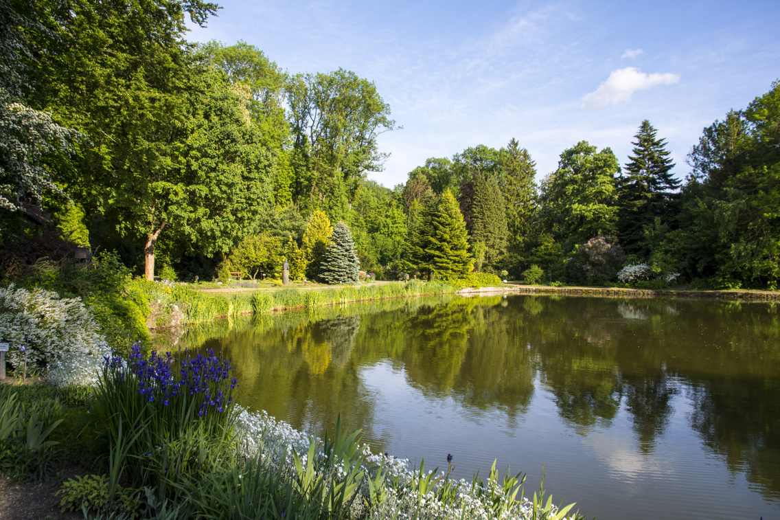 zirci-arboretum korosi-tamas 20160519