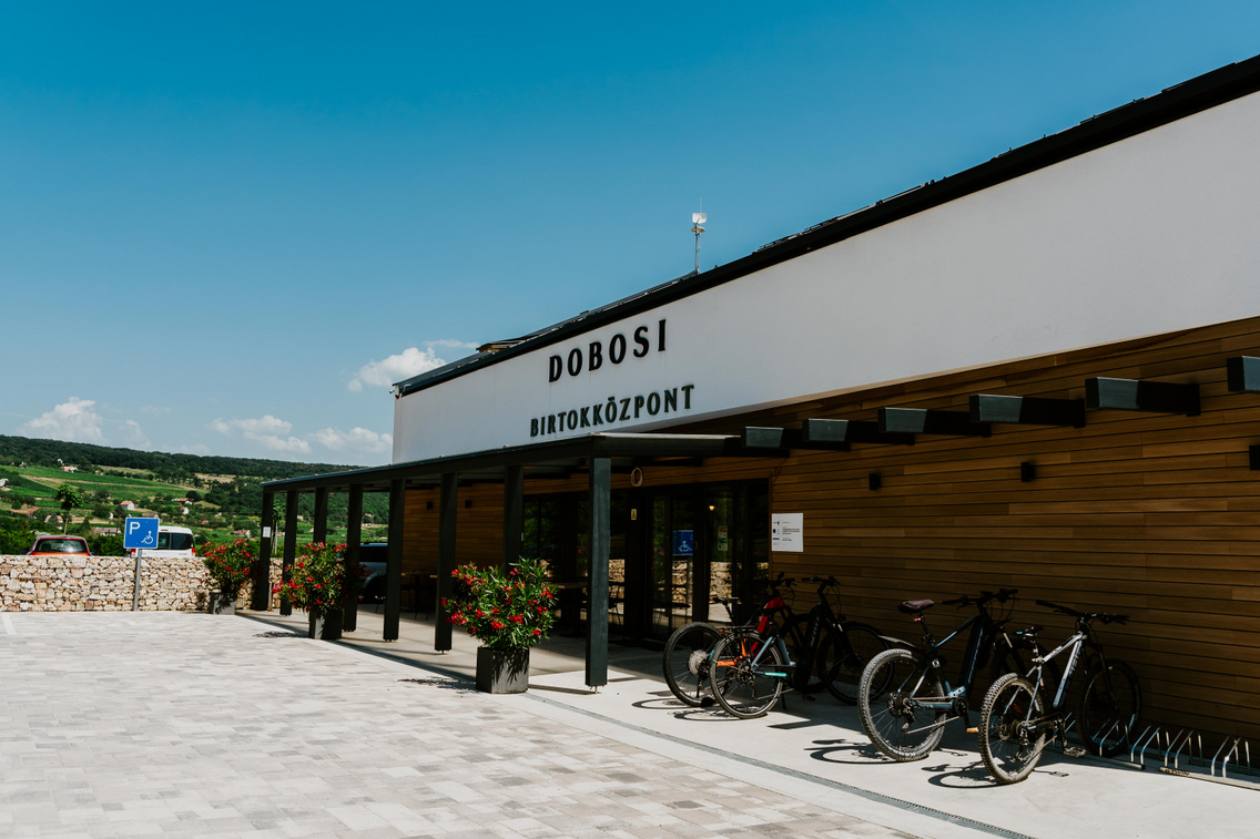 dobosi-pince-szet-birtokko-zpont-szentantalfa-ko-ro-si-tama-s006