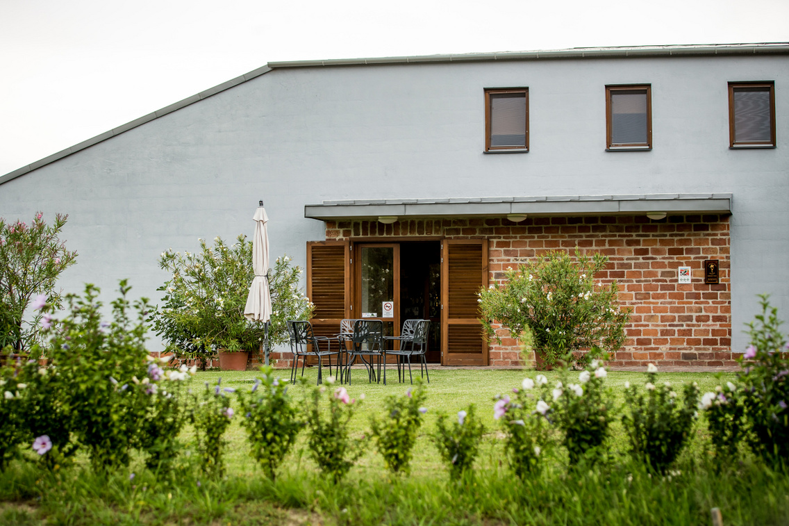 pocz-pinceszet-balatonlelle mudra-laszlo 20180727