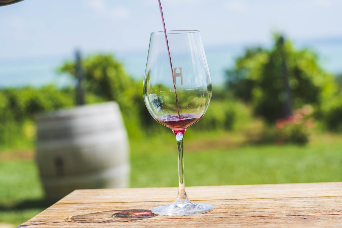 homola-borterasz korosi-tamas 20180720 2