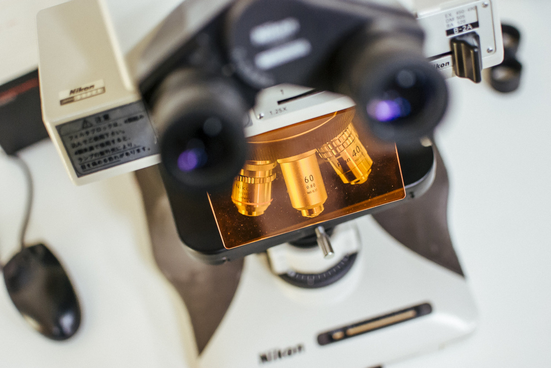 balatoni-limnologiai-intezet-kiripolszky-csongor-20140926-exact1