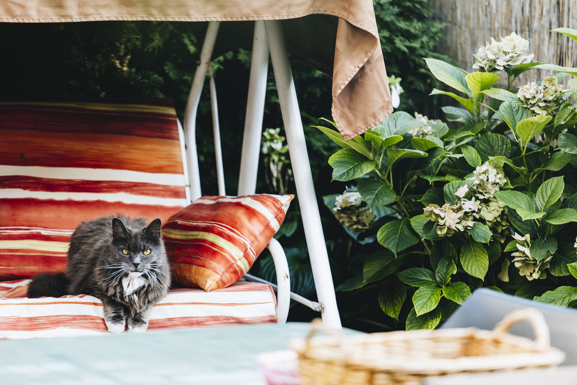 mozgasserult lakotelep 20250915 majorkata-42