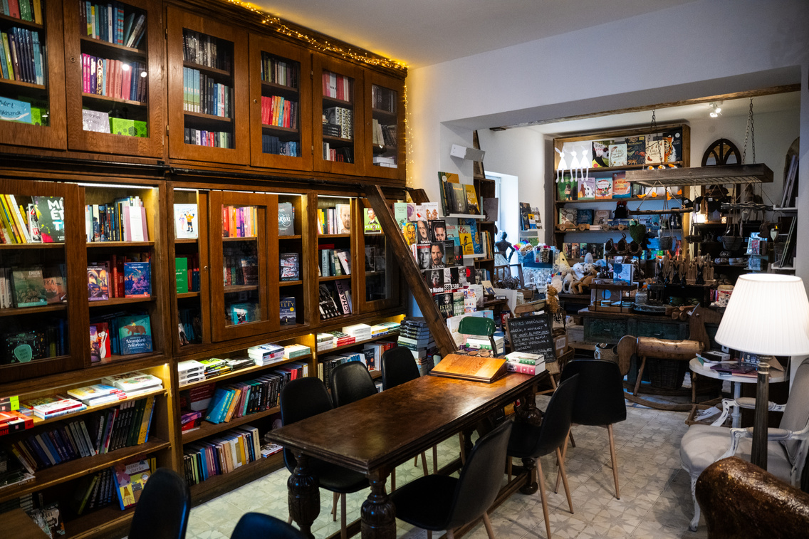 LB 20240219 nyulak 0043