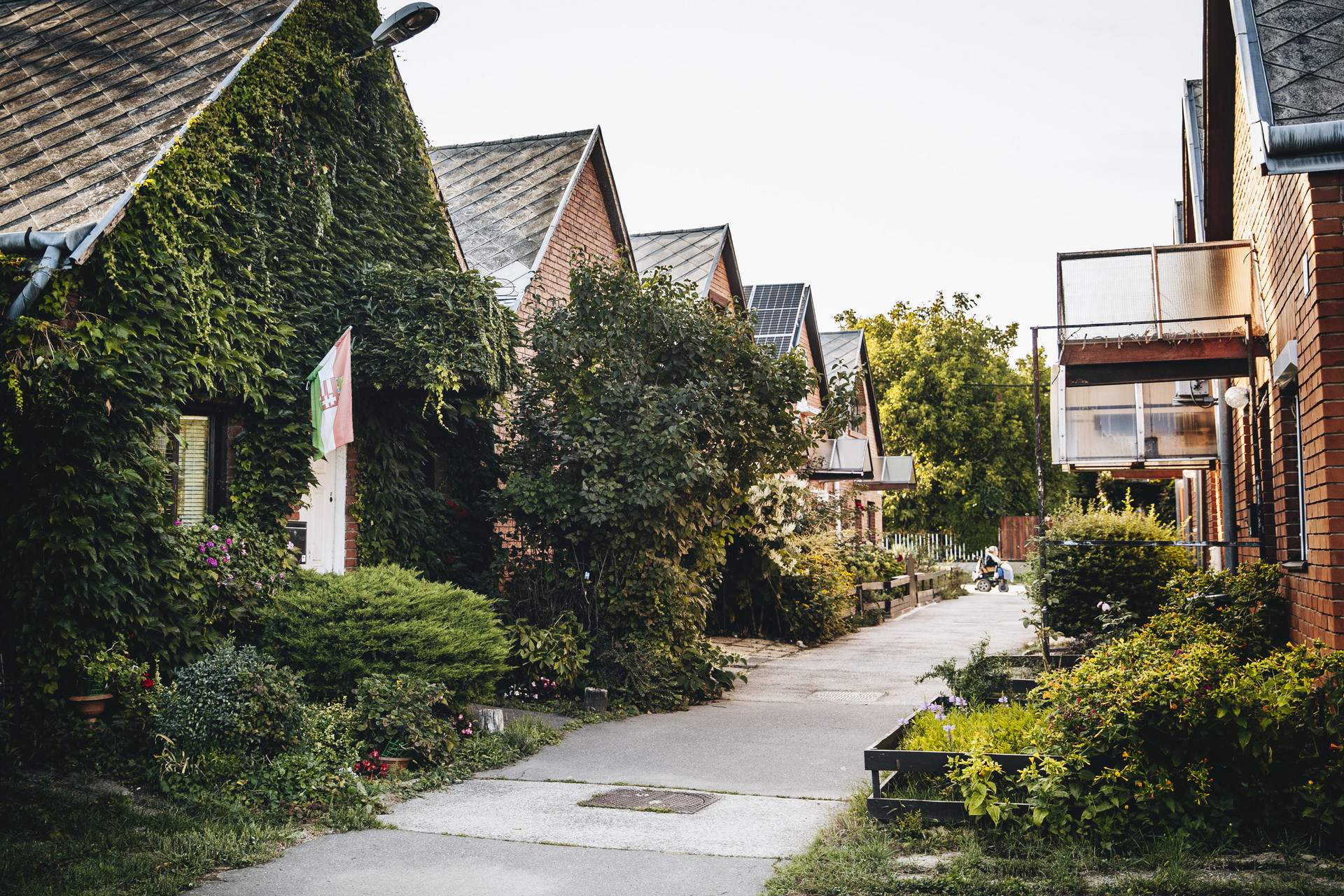 mozgasserult lakotelep 20250915 majorkata-34