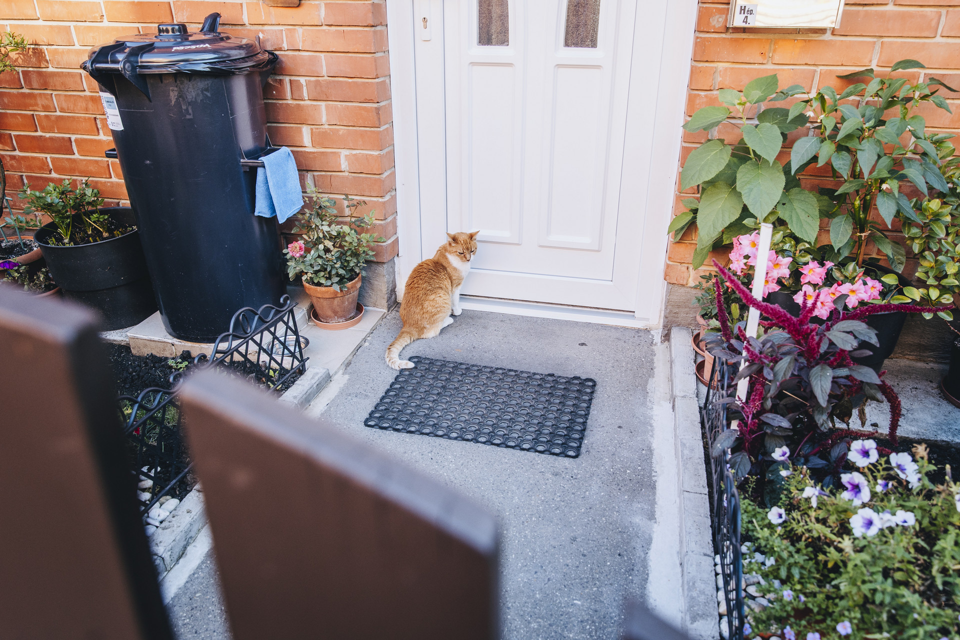 mozgasserult lakotelep 20250915 majorkata-15