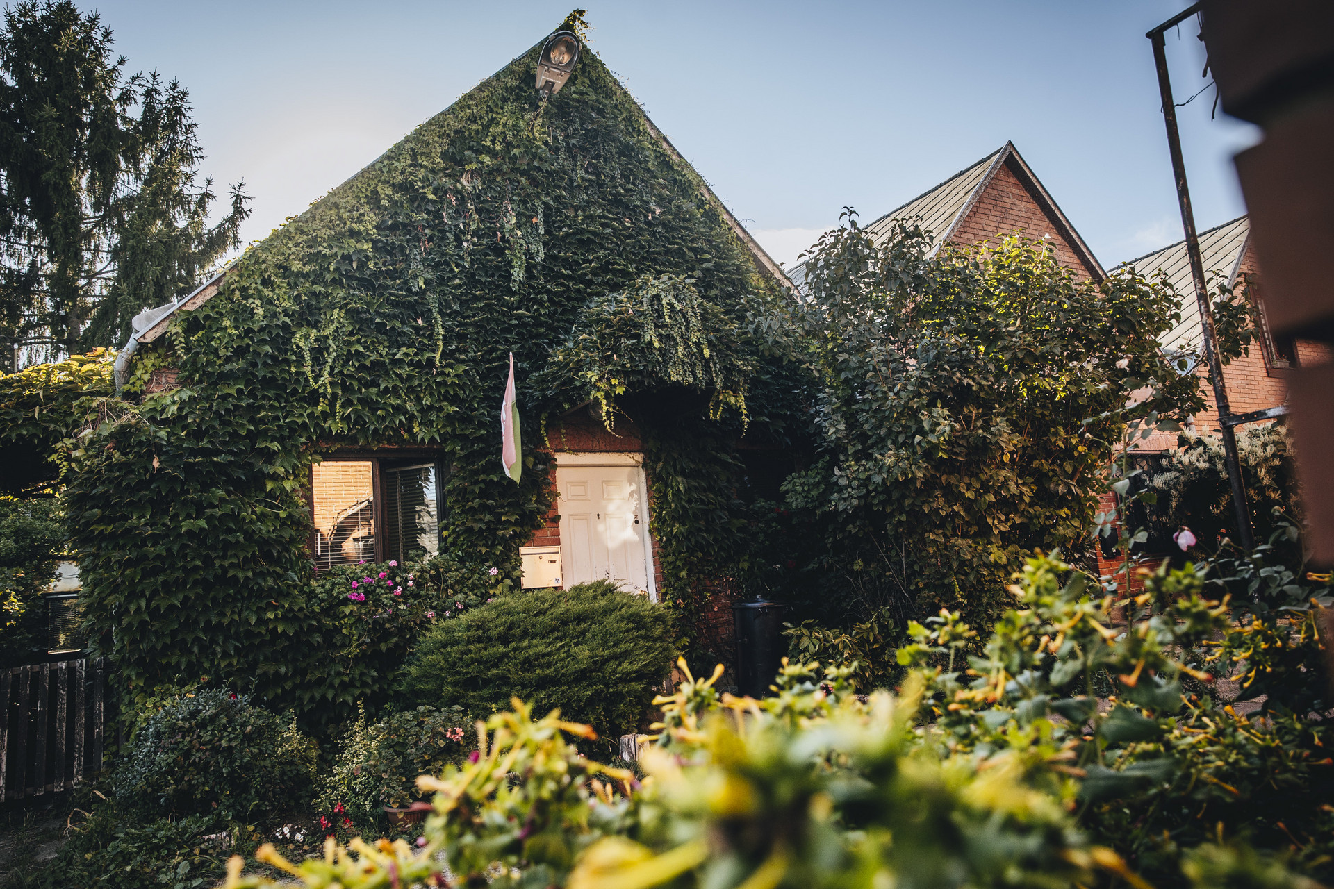 mozgasserult lakotelep 20250915 majorkata-12