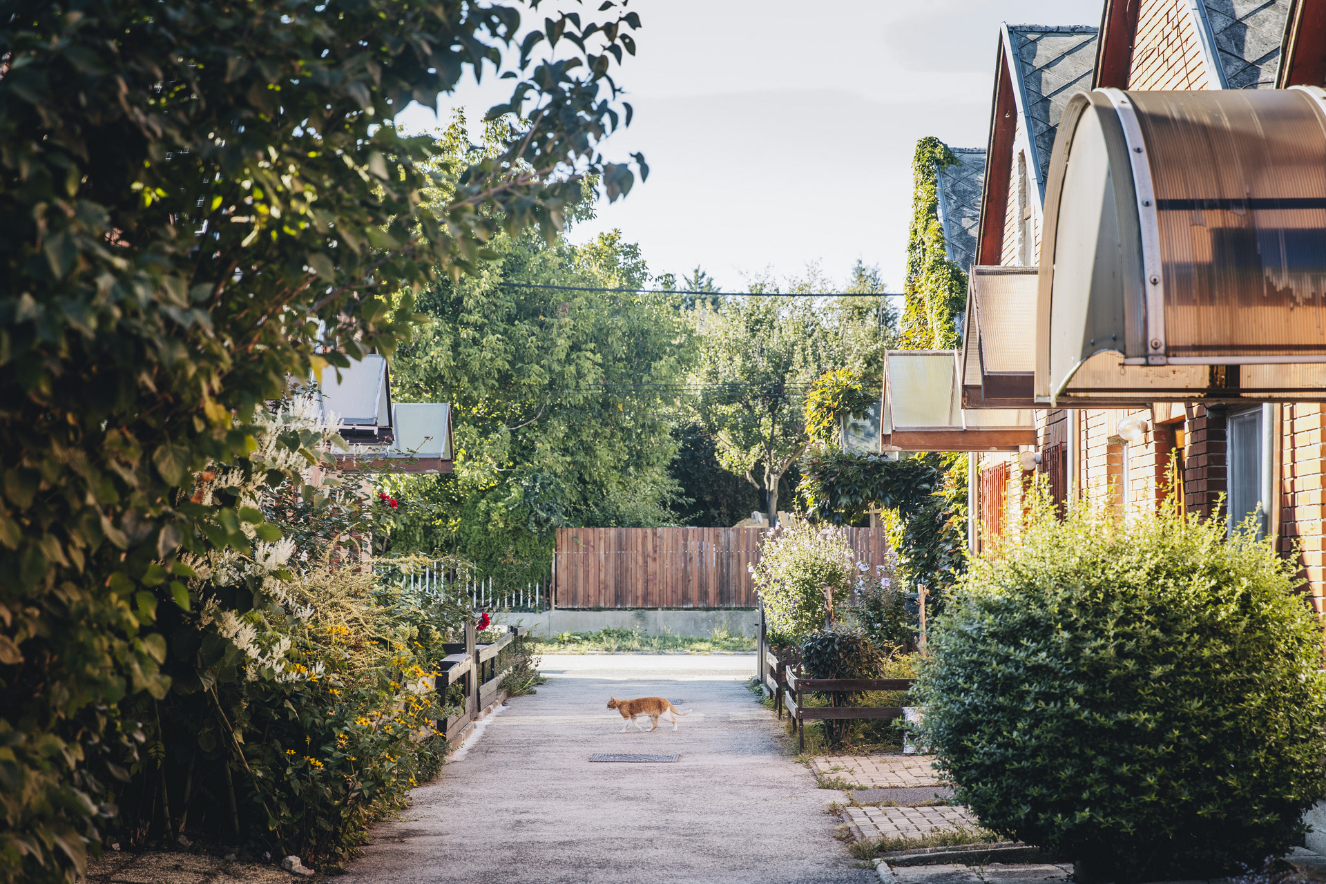 mozgasserult lakotelep 20250915 majorkata-14