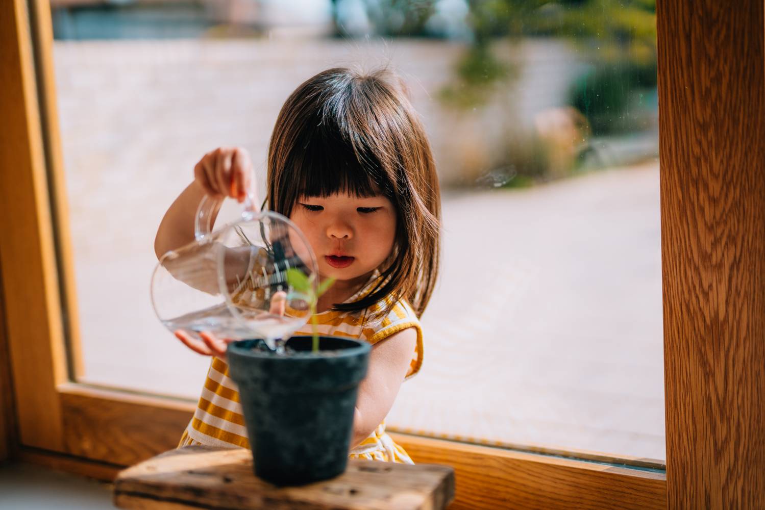 Egy tipikus Montessori-módszer, amely erősíti a felelősségtudatot: a kerti munka és a növénygondozás.