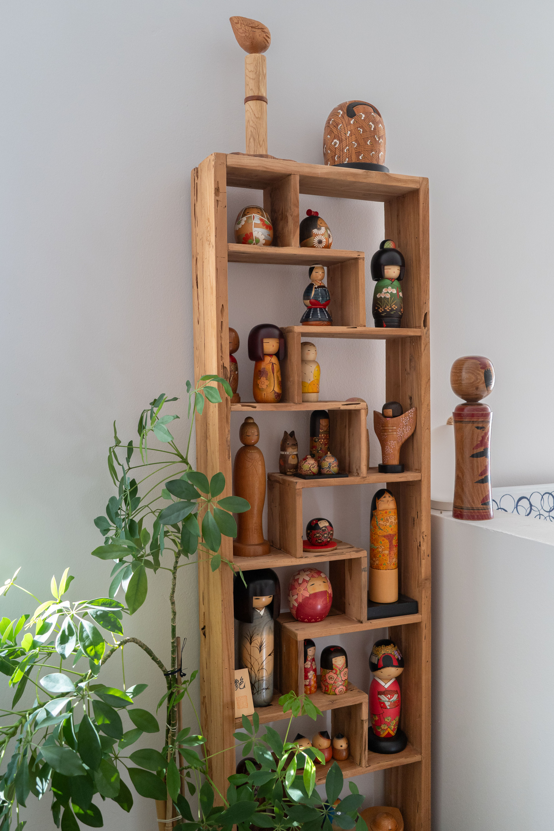 toth vasarhelyi reka wlb13