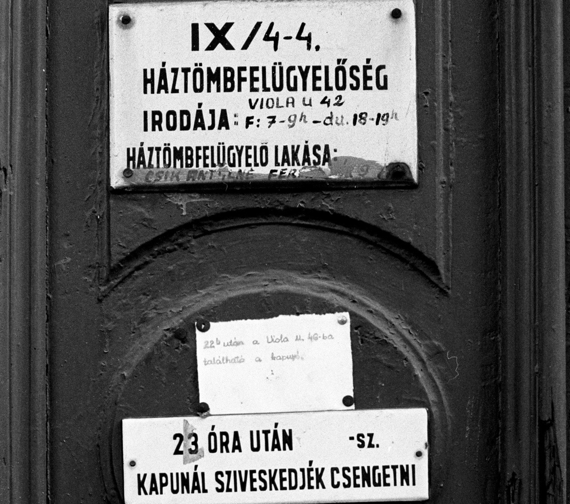 Fortepan Makovecz benjamin