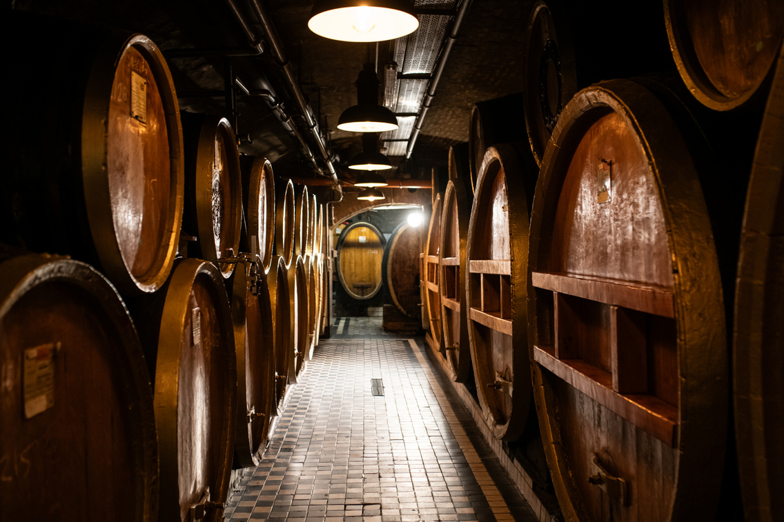 A gyár alatt egy izgalmas pincerendszer húzódik