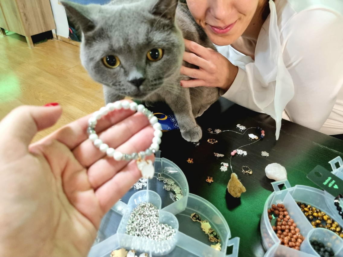 catmuseum (14)