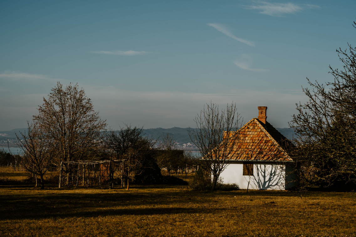 mu-emle-k-pincesor-hamvas-be-la-boru-t-balatonbere-ny-ko-ro-si-t