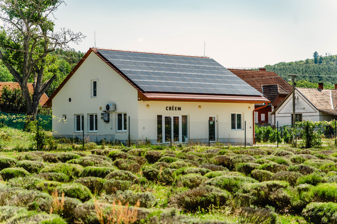 Szüret után a birtokon