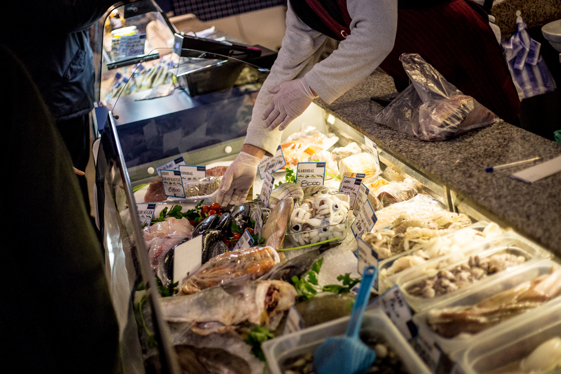 pescheria balkanyi-laszlo 20151222