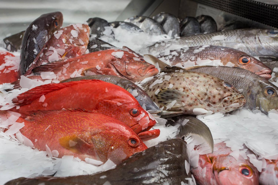 budaorsi-halpiac-the-fishmonger