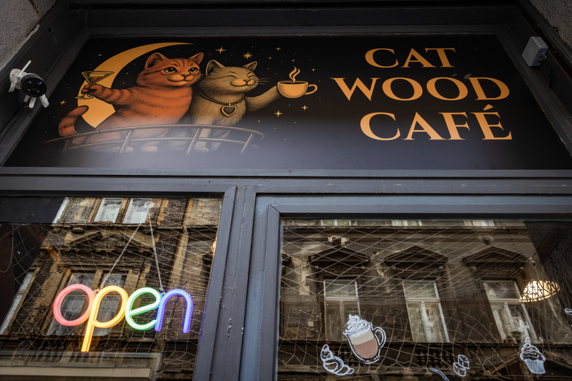 Cat Wood Cafe 251007 Szabó Gábor 020