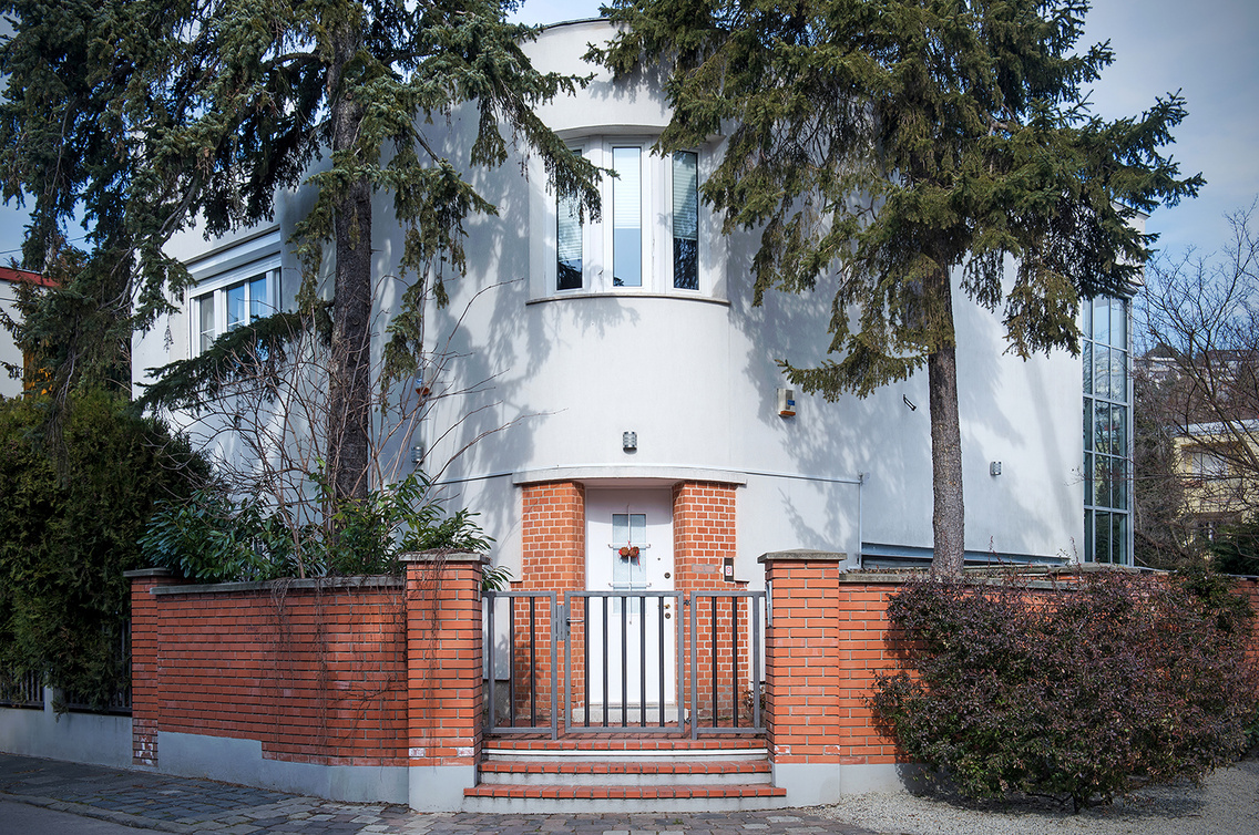 napraforgo-utca-pasaret bodis-krisztian 20150221