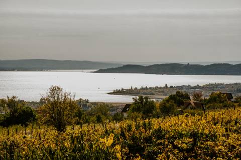 Októberi programkavalkád a Balatonnál: 20 kihagyhatatlan gasztrofesztivál, borkóstoló és családi program