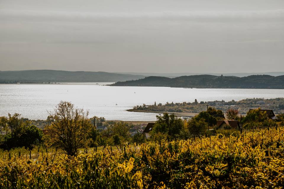 Októberi programkavalkád a Balatonnál: 20 kihagyhatatlan gasztrofesztivál, borkóstoló és családi program