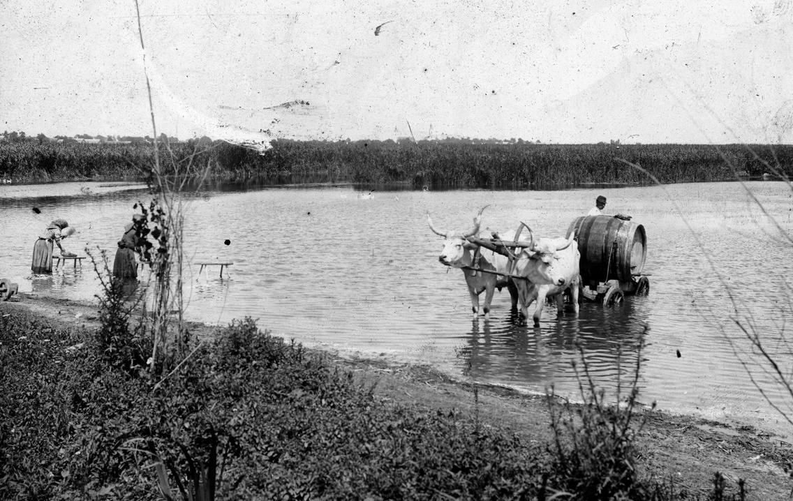 A Balaton 1908-ban
