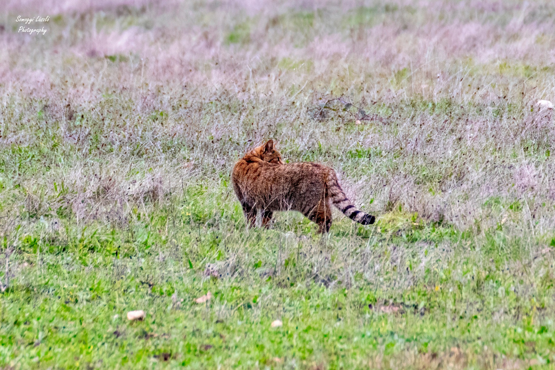 560888542 24956372490669800 6470159359310912659 n