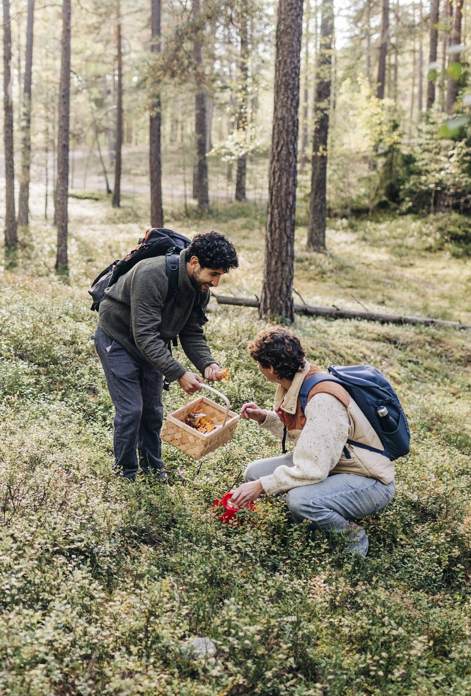 Gombászó pár.